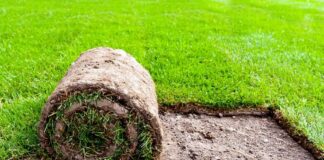 Verlegung von Rollrasen