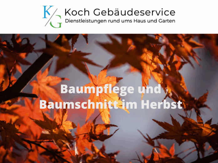 Baumpflege und Baumschnitt im Herbst