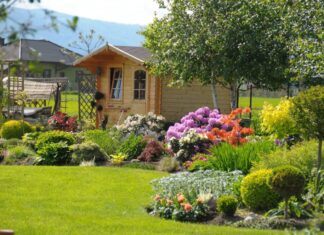 Planung und Gestaltung von Gartenanlagen