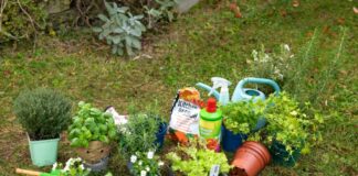 Pflanztöpfe, Verpackungen und andere Gartenabfälle richtig entsorgen Tipps zur Gartensaison: Pflanztöpfe, Verpackungen und andere Gartenabfälle richtig entsorgen
