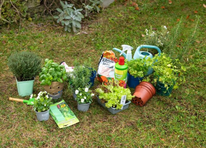 Tipps zur Gartensaison: Pflanztöpfe, Verpackungen und andere Gartenabfälle richtig entsorgen